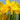 March Newsletter