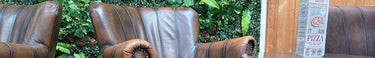 Brown Spitfire arm chair in front of a wall of plants