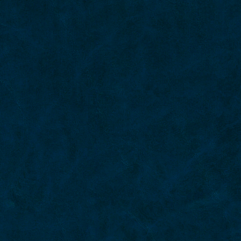 Bison Vinyl Midnight