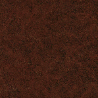 Bison Vinyl Espresso