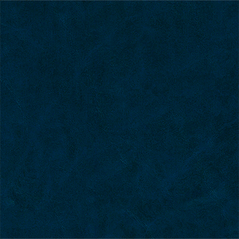 Bison Vinyl Midnight